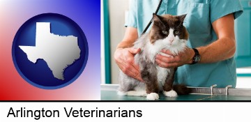 a veterinarian and a cat in Arlington, TX