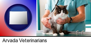 a veterinarian and a cat in Arvada, CO
