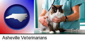 Asheville, North Carolina - a veterinarian and a cat