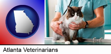 a veterinarian and a cat in Atlanta, GA