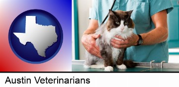 a veterinarian and a cat in Austin, TX