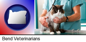 Bend, Oregon - a veterinarian and a cat