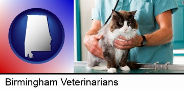 a veterinarian and a cat in Birmingham, AL