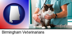 Birmingham, Alabama - a veterinarian and a cat