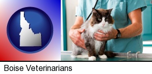 Boise, Idaho - a veterinarian and a cat
