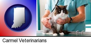 a veterinarian and a cat in Carmel, IN