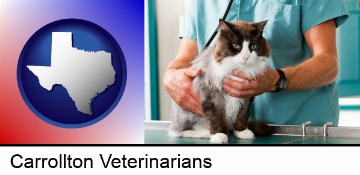a veterinarian and a cat in Carrollton, TX