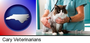 Cary, North Carolina - a veterinarian and a cat