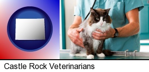 a veterinarian and a cat in Castle Rock, CO