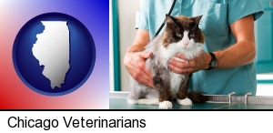 Chicago, Illinois - a veterinarian and a cat