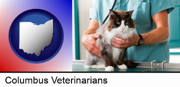 a veterinarian and a cat in Columbus, OH