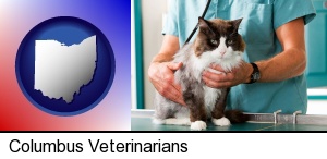 Columbus, Ohio - a veterinarian and a cat