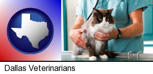 Dallas, Texas - a veterinarian and a cat