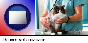 Denver, Colorado - a veterinarian and a cat