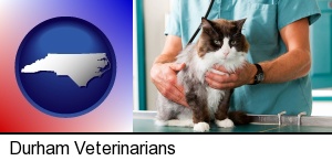 Durham, North Carolina - a veterinarian and a cat