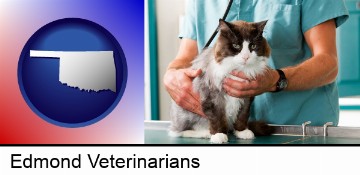 a veterinarian and a cat in Edmond, OK