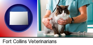 Fort Collins, Colorado - a veterinarian and a cat