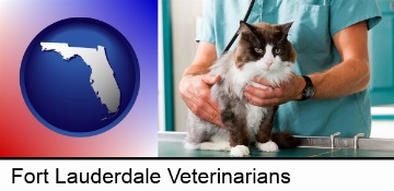 a veterinarian and a cat in Fort Lauderdale, FL