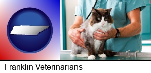 Franklin, Tennessee - a veterinarian and a cat