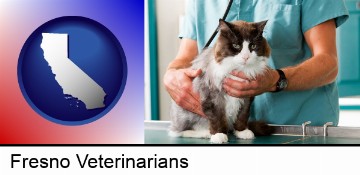 a veterinarian and a cat in Fresno, CA