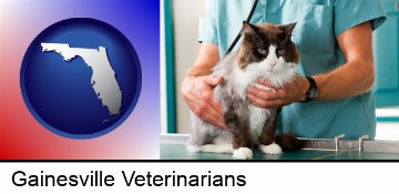 a veterinarian and a cat in Gainesville, FL