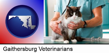 a veterinarian and a cat in Gaithersburg, MD