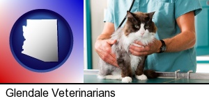 Glendale, Arizona - a veterinarian and a cat