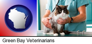 Green Bay, Wisconsin - a veterinarian and a cat
