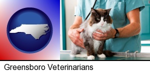 Greensboro, North Carolina - a veterinarian and a cat