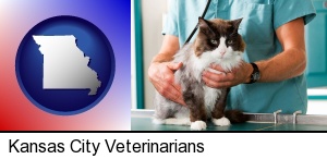 Kansas City, Missouri - a veterinarian and a cat