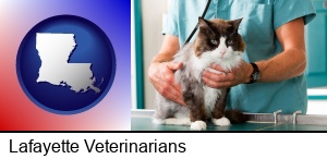 Lafayette, Louisiana - a veterinarian and a cat