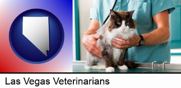 a veterinarian and a cat in Las Vegas, NV