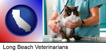 a veterinarian and a cat in Long Beach, CA