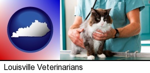 Louisville, Kentucky - a veterinarian and a cat