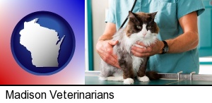 Madison, Wisconsin - a veterinarian and a cat