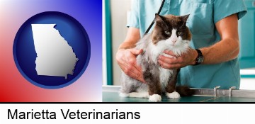 a veterinarian and a cat in Marietta, GA