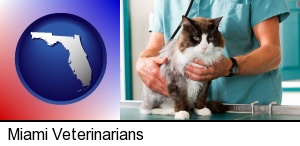 Miami, Florida - a veterinarian and a cat