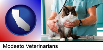 a veterinarian and a cat in Modesto, CA