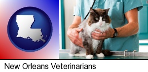 New Orleans, Louisiana - a veterinarian and a cat