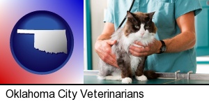 Oklahoma City, Oklahoma - a veterinarian and a cat