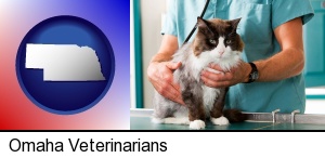 Omaha, Nebraska - a veterinarian and a cat