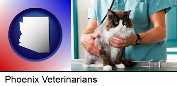 a veterinarian and a cat in Phoenix, AZ