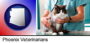 Phoenix, Arizona - a veterinarian and a cat