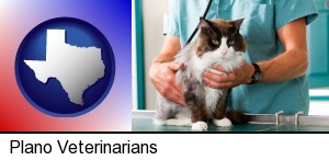Plano, Texas - a veterinarian and a cat