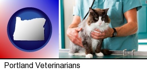 Portland, Oregon - a veterinarian and a cat