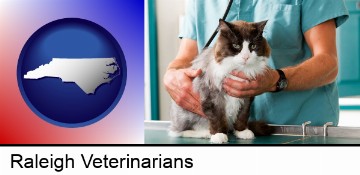 a veterinarian and a cat in Raleigh, NC