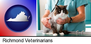 a veterinarian and a cat in Richmond, VA