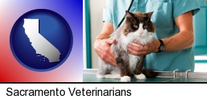 Sacramento, California - a veterinarian and a cat