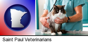 Saint Paul, Minnesota - a veterinarian and a cat