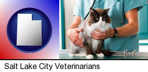 a veterinarian and a cat in Salt Lake City, UT